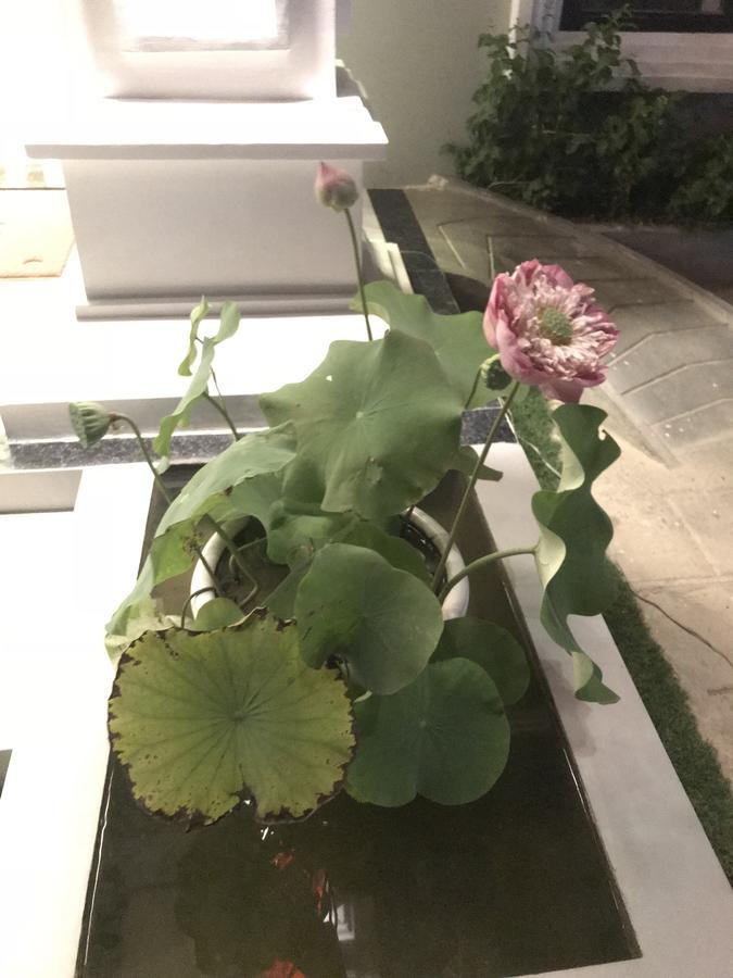 באטאמבנג Sky Palace Boutique Hotel מראה חיצוני תמונה